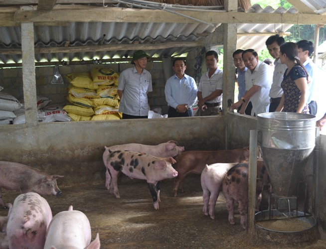 Hà Tĩnh có gần 12.000 mô hình sản xuất, kinh doanh hiệu quả