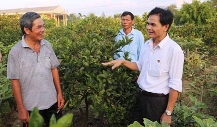 Đồng chí Trần Huy Oánh, Chánh Văn phòng Điều phối NTM tỉnh thăm mô hình vườn mẫu hộ ông Nguyễn Văn Quý, thôn Thanh Yên xã Cẩm Yên