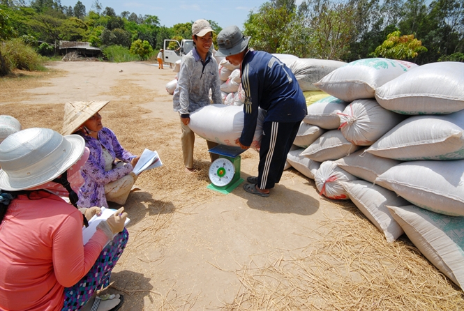 Cuối năm, Tháp Mười có 5 xã đạt chuẩn