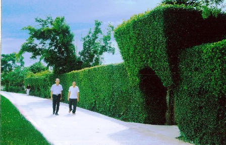 Đức Thọ nỗ lực xây dựng huyện nông thôn mới đầu tiên của Hà Tĩnh