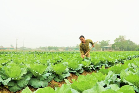 10 dấu ấn trong xây dựng nông thôn mới năm 2016 ở huyện Thạch Hà