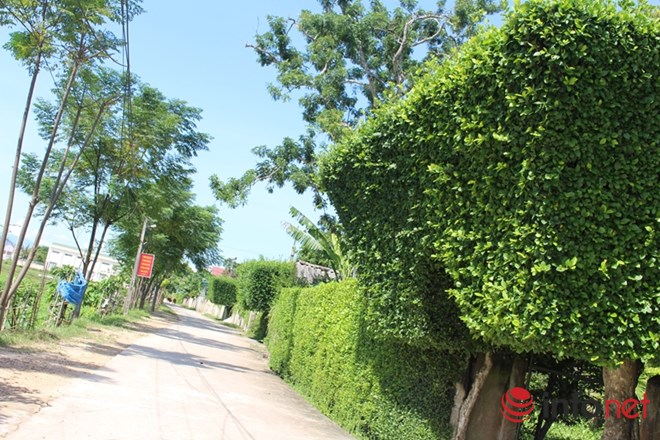 Ngẩn ngơ trước những cánh cổng “đẹp như cổ tích” ở Hà Tĩnh