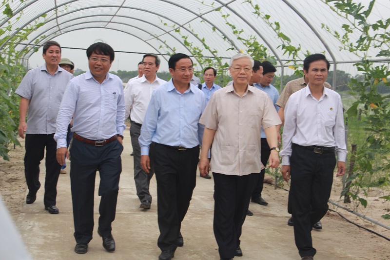 Nông thôn mới Thạch Hà: “Quả ngọt” trên những chặng đường gian khó