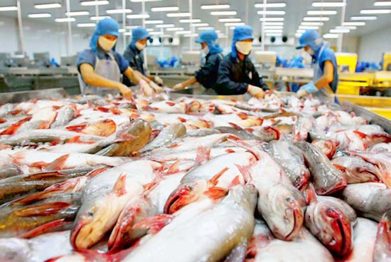 Xây dựng đề án tái cơ cấu nông nghiệp 2016 - 2020