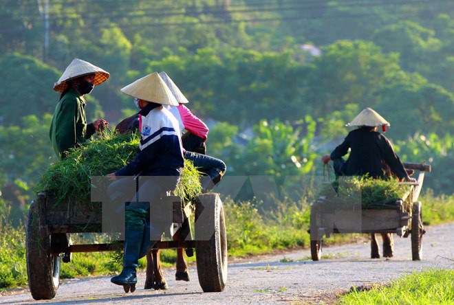 Ban hành kế hoạch triển khai nghị quyết Quốc hội về nông thôn mới