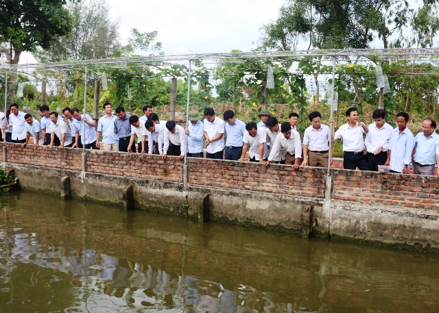 Nâng cao nhận thức về nông nghiệp hữu cơ gắn với Chương trình OCOP cho trên 160 học viên