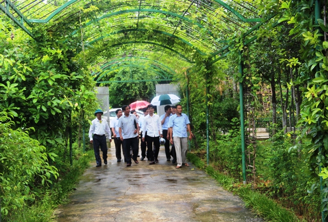 Tiêu chí Khu dân cư nông thôn mới kiểu mẫu, vườn mẫu của Hà Tĩnh là sáng tạo trong xây dựng nông thôn mới