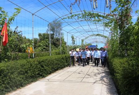 Cẩm Yên xây dựng nông thôn mới đi vào chiều sâu