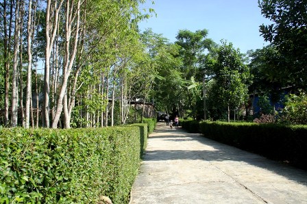 Nam Trà - “miền quê đáng sống”