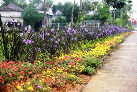 Đẩy mạnh tổ chức cuộc thi khu dân cư NTM kiểu mẫu, vườn mẫu