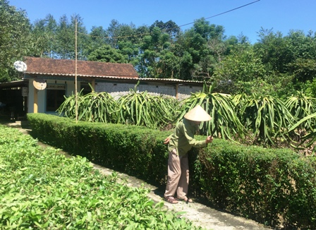 Về Hà Tĩnh học cách làm nông thôn mới