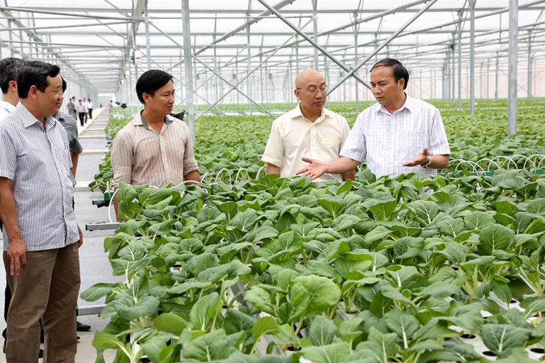 Sản xuất nông nghiệp hữu cơ - Vẫn còn đi qua 'khe cửa hẹp'