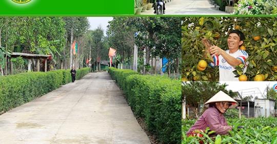 Thể lệ cuộc thi về chủ đề “Chung sức xây dựng nông thôn mới” trên Báo Hà Tĩnh