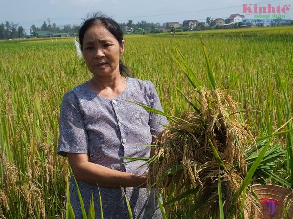 Nhập Trạm BVTV với Thú y về huyện ở Hà Tĩnh: Lợi bất cập hại!