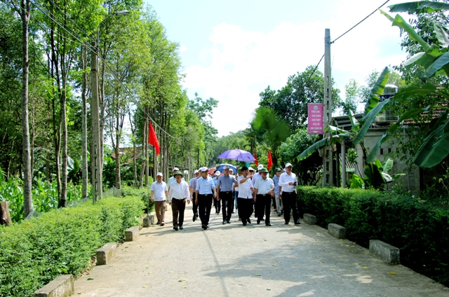 Hà Tĩnh nỗ lực hoàn thành các tiêu chí nông thôn mới