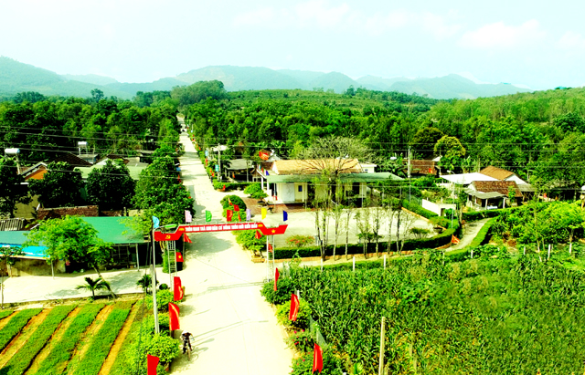 Đường làng quê đổ bê tông, hàng rào xanh tít tắp, cảnh quan thơ mộng của thôn Nam Trà, xã Hương Trà, huyện Hương Khê, Hà Tĩnh.