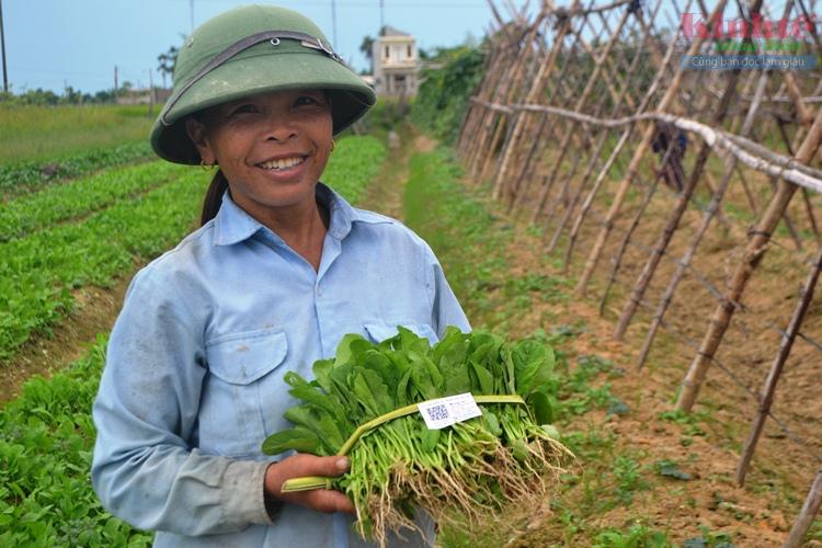 Hội Làm vườn và TT Hà Tĩnh ứng dụng công nghệ iMetos