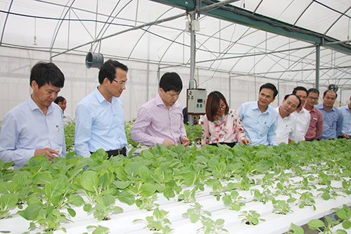 Nghi Xuân nổ lực hoàn thiện các nội dung phấn đấu đạt chuẩn huyện nông thôn mới vào cuối năm 2018