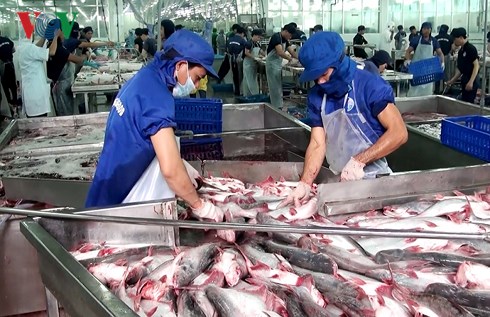 Cần chính sách cho quỹ tín dụng bảo lãnh khoản vay làm nông nghiệp?
