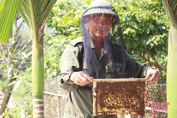 Nuôi ong vùng trà sơn Can Lộc - chờ cơ hội mới từ Farmstay