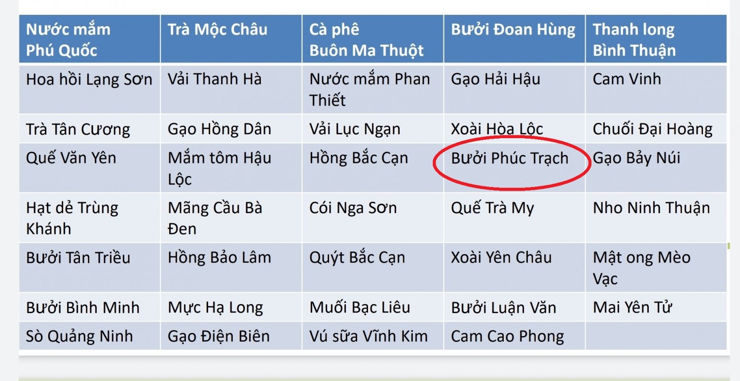 Bưởi Phúc Trạch được Liên minh Châu Âu bảo hộ chỉ dẫn địa lý