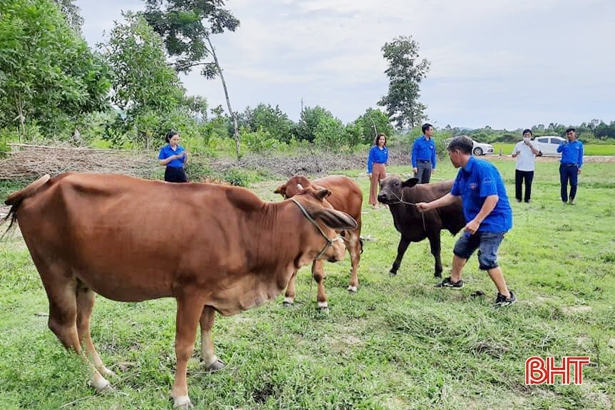 Hỗ trợ thanh niên Hà Tĩnh phát triển kinh tế trong mùa dịch