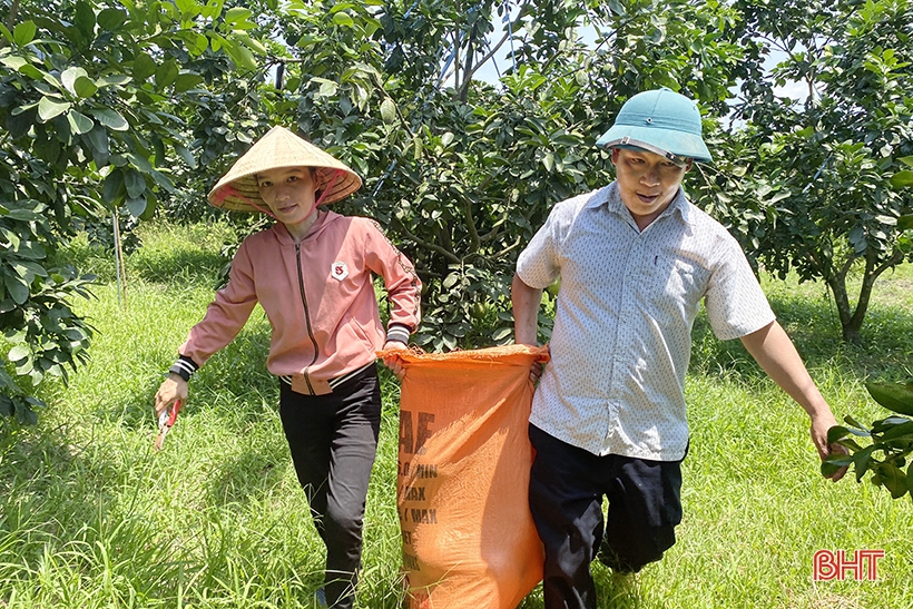 Viettel Post quảng bá, đưa đặc sản Hà Tĩnh đến tận tay người tiêu dùng