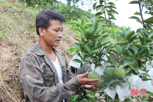 Vợ chồng trẻ rời phố về quê “chăn” vịt trời