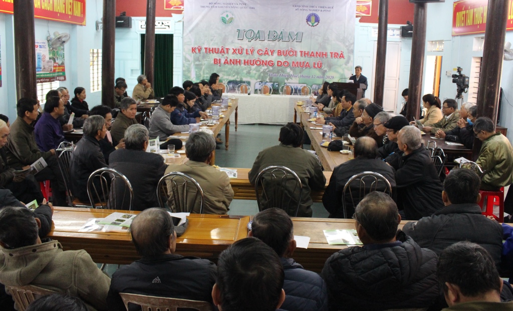 tdam hue1 1