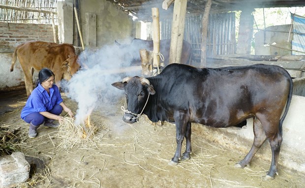 Bắc Bộ và Trung Bộ xuất hiện 3-4 đợt rét đậm, rét hại trong tháng Một hình ảnh 1 108d0160820t8907l1