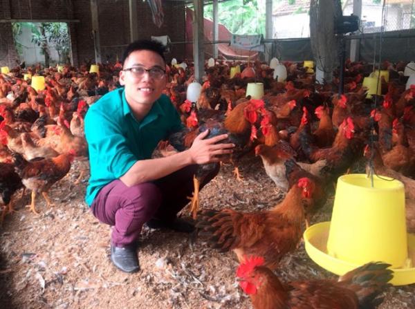 mien bac gia ga tang manh