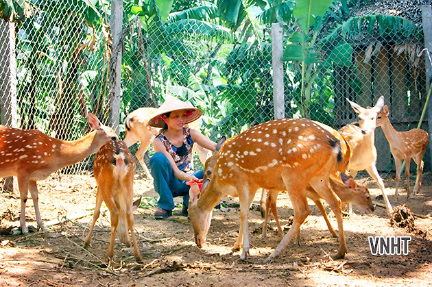 Chăn nuôi hộ gia đình của gia đình anh Huy ở xã Sơn Lâm (HS)