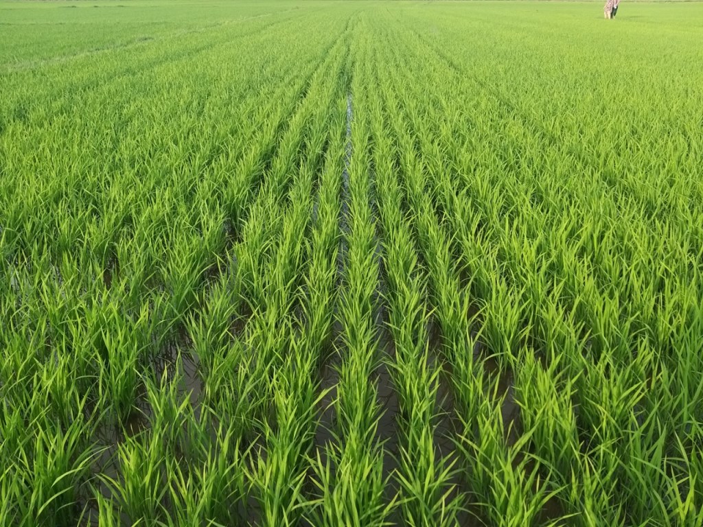1 144