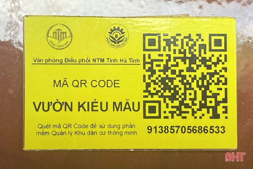 72d3212056t44449l0
