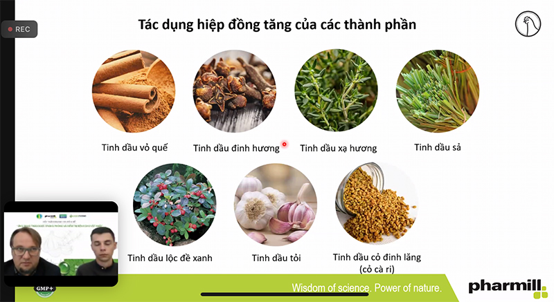 tac dung cua thao duoc