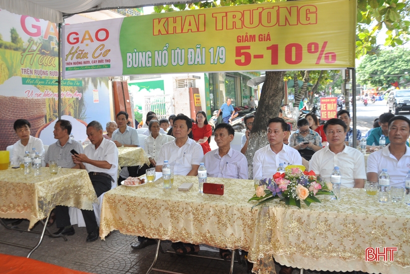 140d4105413t48978l0