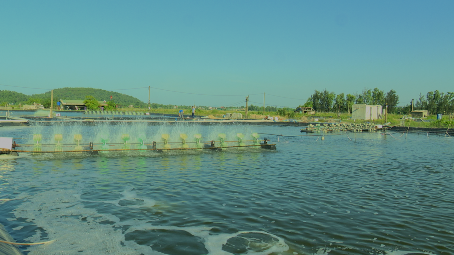 image 20230621155246 1