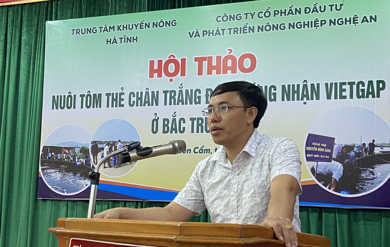 h3 dai bieu thao luan