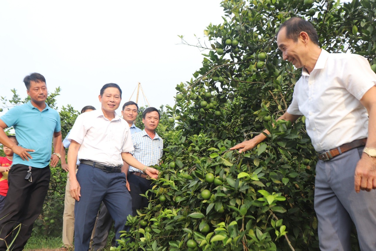 anh 3