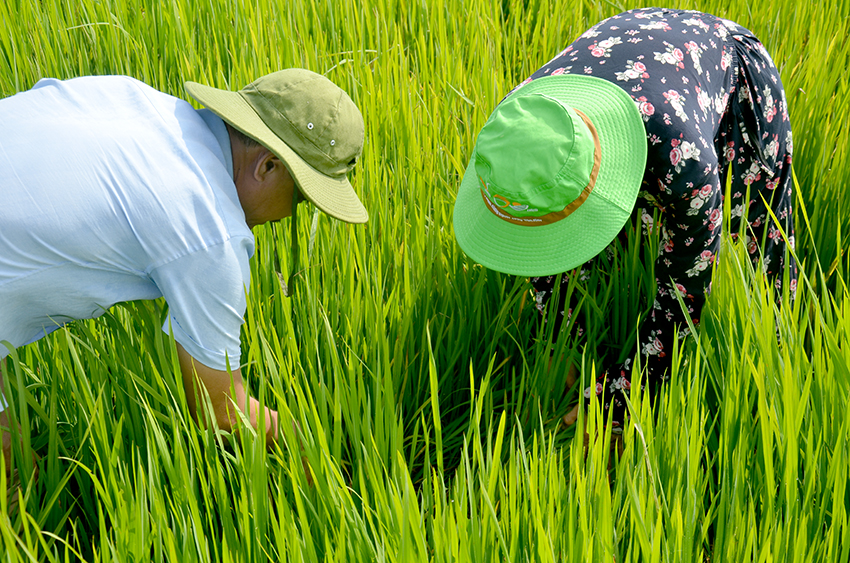 h1 can bo kt dang kiem tra tinh hinh sau benh