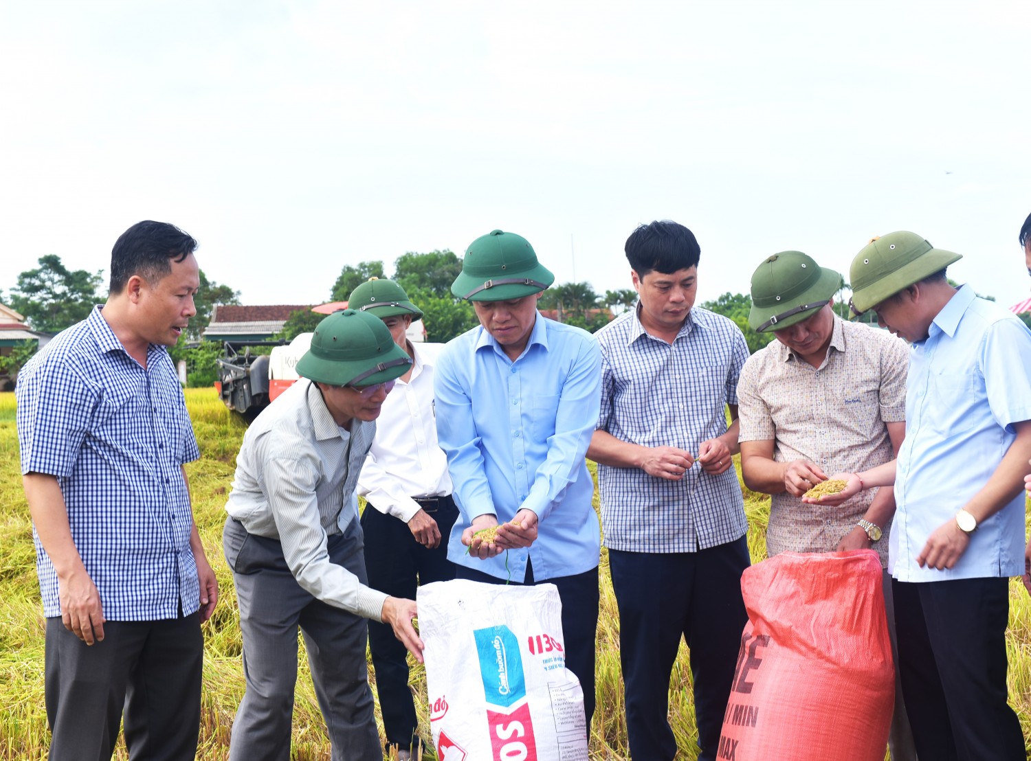 h1 lanh dao tinh kiem tra lua he thu 2023 tai huyen thach ha