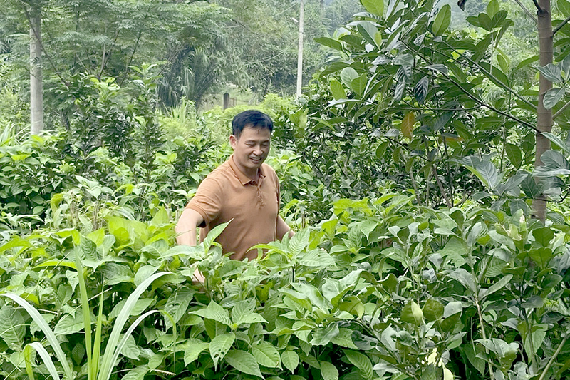 anh giang hai che khong lo cho lon an