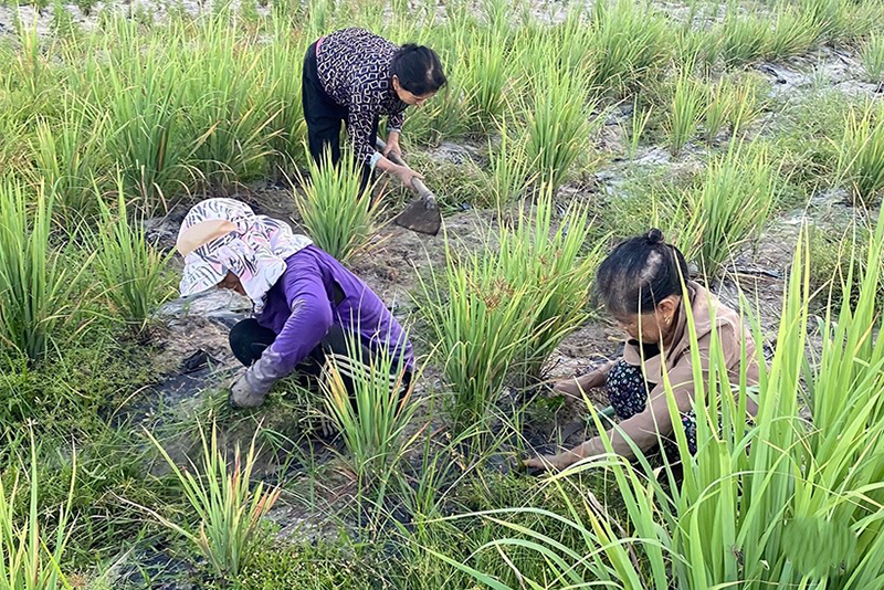 h2 nguoi dan tang thu nhap khi cc nguyen lieu