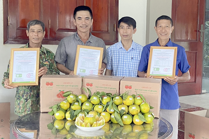 hinh 2 trao chung nhan san pham nong nghiep huu co cho cac ho trong tht san xuat cam huu co so 1 quang tho