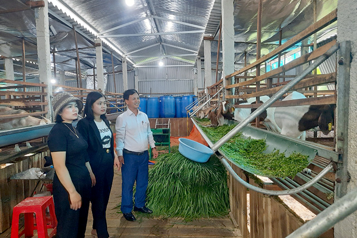 mo hinh nuoi de sinh san duoc dia phuong ho tro 100 trieu dong tu chu truong khuyen khich phat trien mo hinh chan nuoi de tap trung