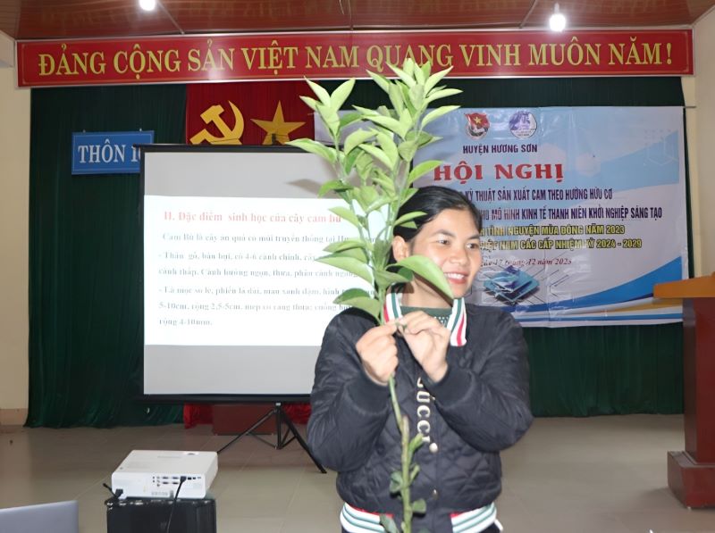 chi nguyen thi thuy can bo trung tam ung dung khkt va bao ve cay trong vat nuoi huyen huong son huong dan ky thuat trong cam huu co
