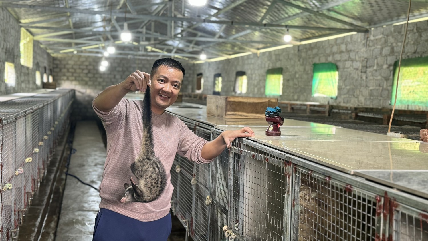 hinh 1 nam 2023 co so nuoi chon huong cua anh duc du kien xuat ban khoang 1 500 con chon giong
