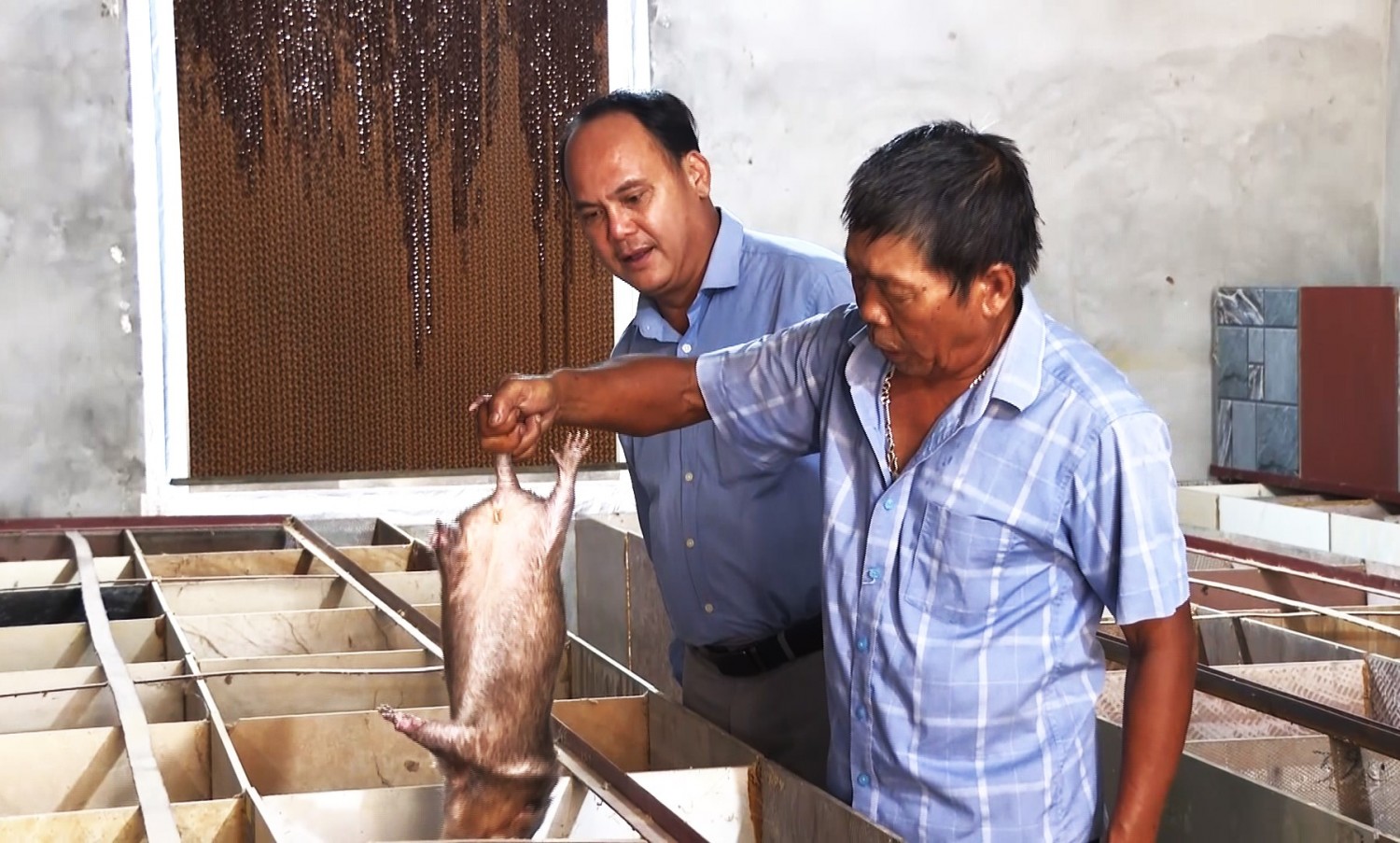 h2 chuyen huong nuoi dui gd ong nguyen van cuong co thu nhap on dinh