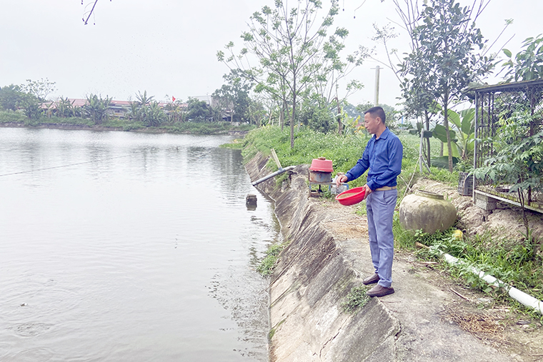 ca 3toan bodien tich anh dinh chuyen thanh ao uong ca giong de co du so luong cung cap cho khach hang