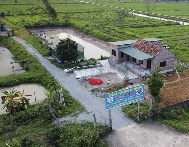 anh 1 1